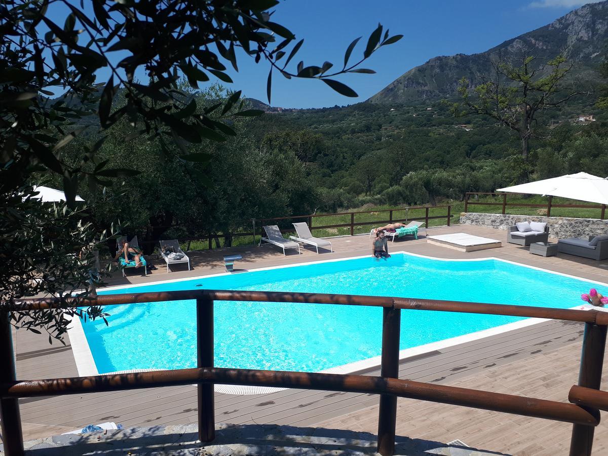 Tenuta Terre Di Bosco Oasi Di Relax Nel Cilento San Giovanni a Piro Exterior photo